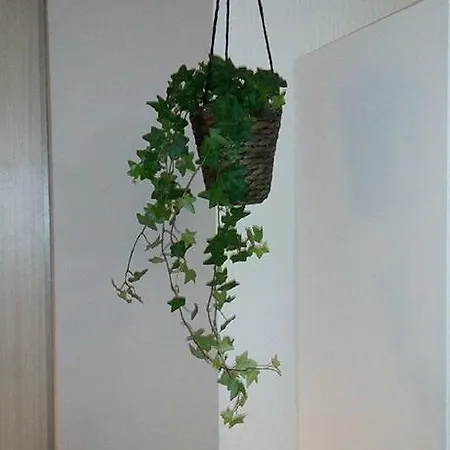 Della Rotonda Apartamento